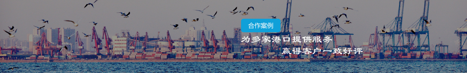 合作案例-江阴市博皓港口机械设备有限公司